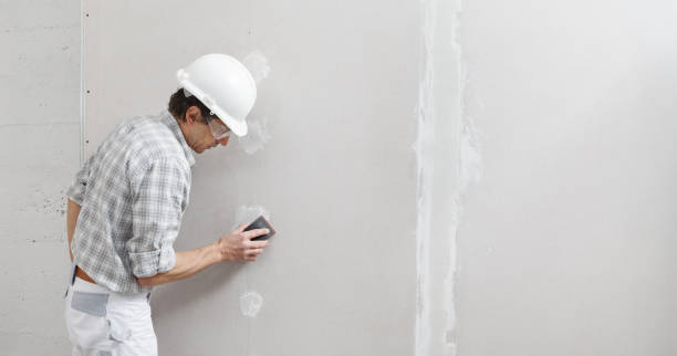 Best Forensic Mold Investigation  in Andrews Af, MD