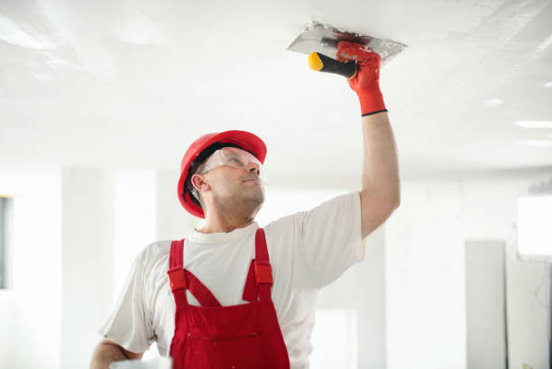Best Mold Remediation for Healthcare Facilities  in Andrews Af, MD