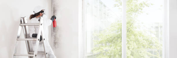 Best Real Estate Mold Inspection  in Andrews Af, MD